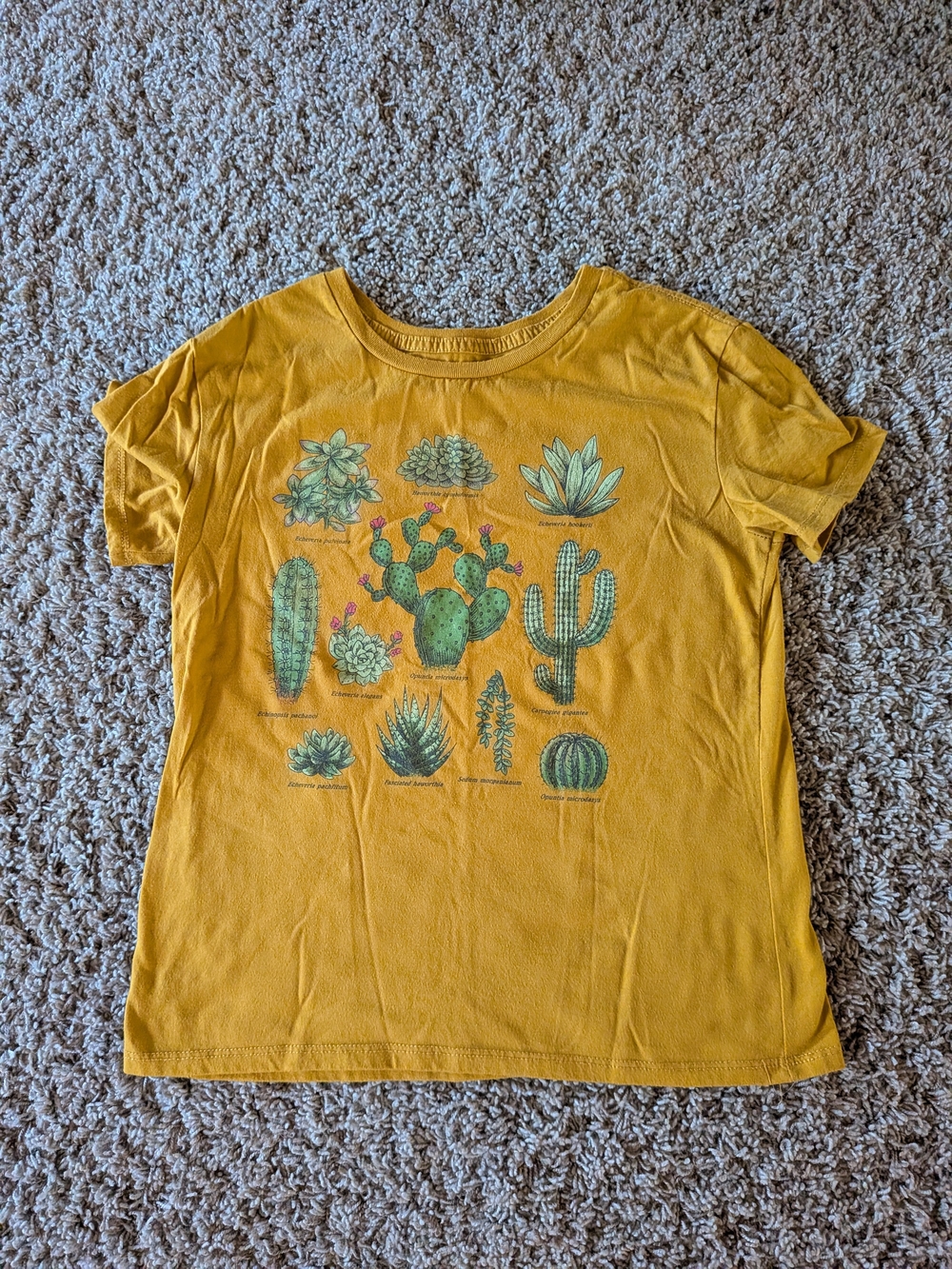 Fifth Sun Mustard Yellow Cactus & Succulent Graphic Tee